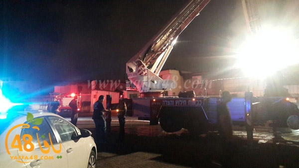 fire manjara (4).jpg